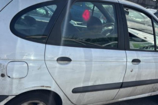 Mastervac RENAULT SCENIC 1