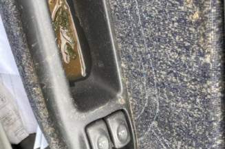 Mastervac RENAULT SCENIC 1