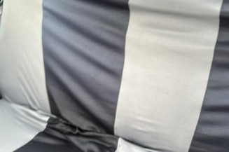 Levier de vitesses RENAULT MEGANE 1