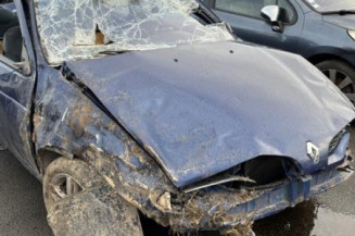 Levier de vitesses RENAULT MEGANE 1