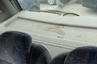 Mastervac RENAULT SCENIC 1