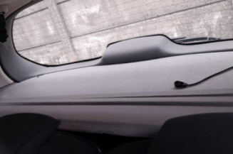 Mastervac RENAULT SCENIC 2