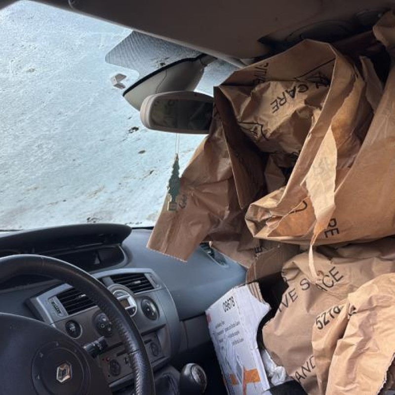 Cardan gauche (transmission) RENAULT GRAND SCENIC 2 Photo n°13