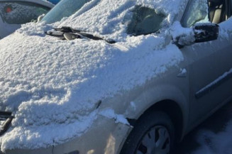 Cardan droit (transmission) RENAULT SCENIC 2 Photo n°1