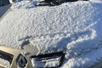 Cardan droit (transmission) RENAULT SCENIC 2