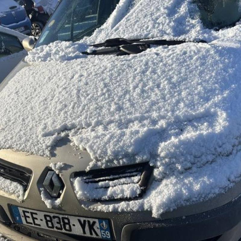 Cardan droit (transmission) RENAULT SCENIC 2 Photo n°2