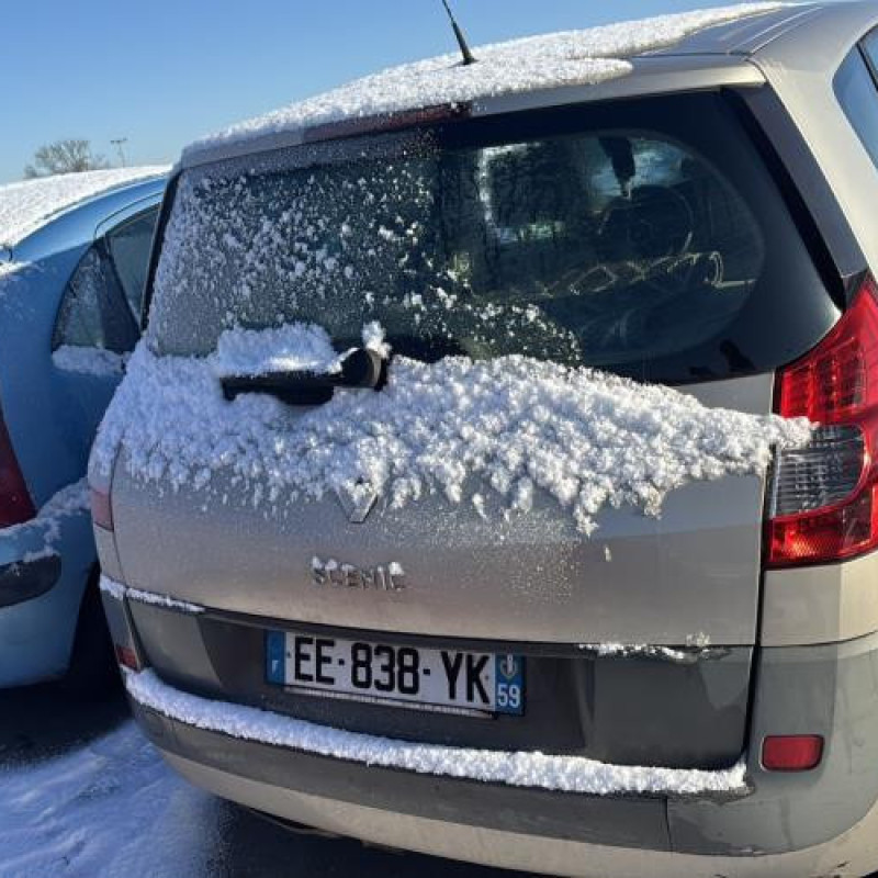 Cardan droit (transmission) RENAULT SCENIC 2 Photo n°6