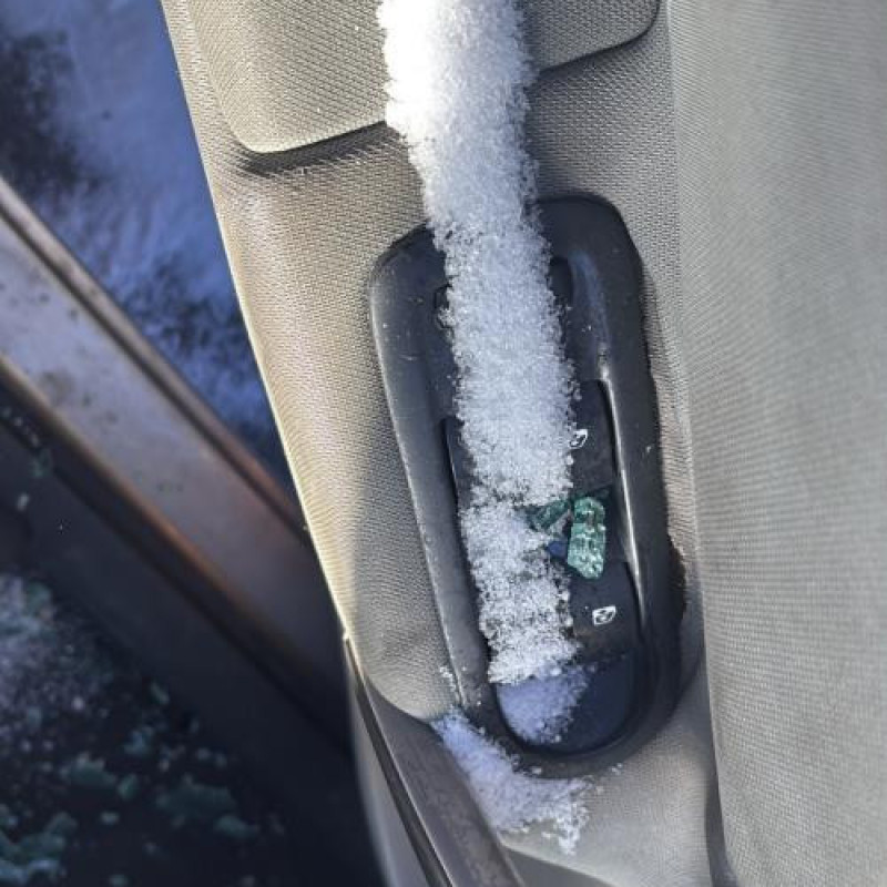 Cardan gauche (transmission) RENAULT SCENIC 2 Photo n°10