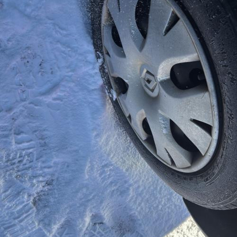 Cardan gauche (transmission) RENAULT SCENIC 2 Photo n°19