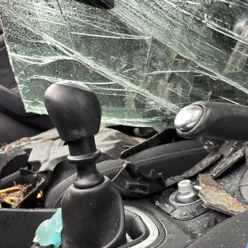 Cardan gauche (transmission) RENAULT MEGANE 3 Photo n°20