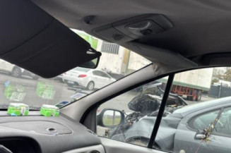 Mastervac RENAULT SCENIC 1