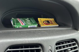 Mastervac RENAULT SCENIC 1