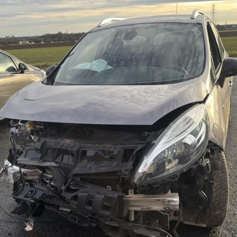 Amortisseur avant droit RENAULT GRAND SCENIC 3 Photo n°2