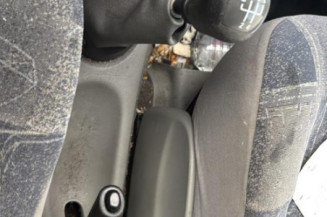 Mastervac RENAULT SCENIC 1