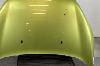 Capot FORD FIESTA 6 Photo n°1