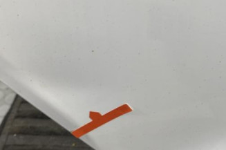 Porte arriere droit RENAULT CLIO 4 Photo n°1