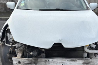 Porte arriere droit RENAULT CLIO 4