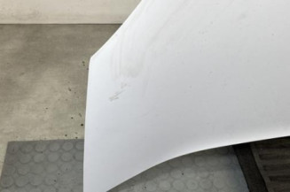 Capot RENAULT KANGOO 2