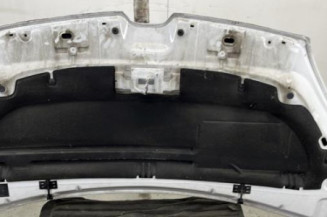 Capot RENAULT KANGOO 2