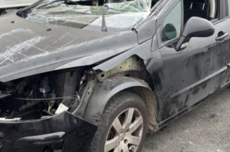 Pare boue arriere gauche PEUGEOT 308 1