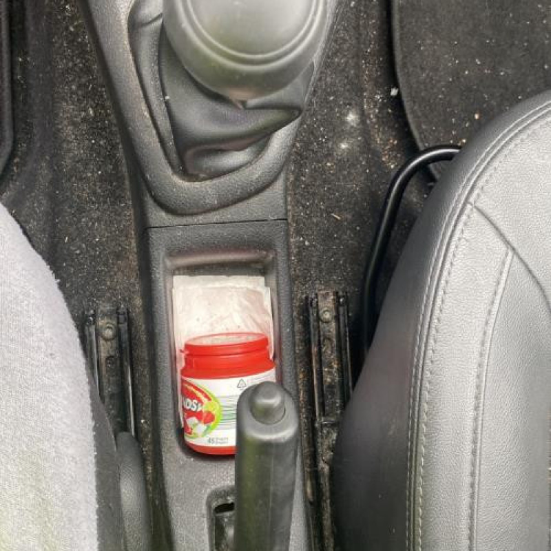 Poignee porte avant gauche DACIA SANDERO 2 Photo n°20