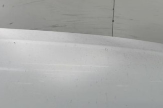 Porte de coffre droit RENAULT KANGOO 2