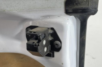 Porte de coffre droit RENAULT KANGOO 2