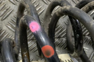 Ressort de suspension arriere droit DACIA SANDERO 2