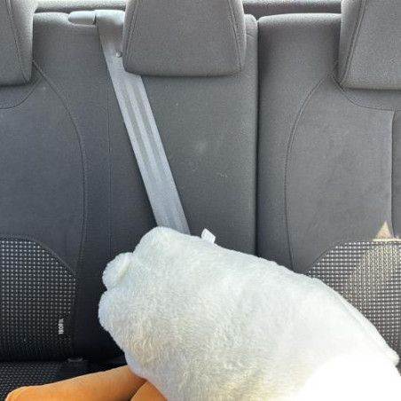 Plage arriere CITROEN C3 2 Photo n°1