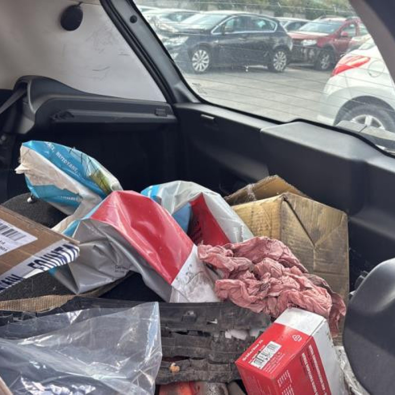 Feu arriere stop central FIAT PUNTO EVO 3 Photo n°16