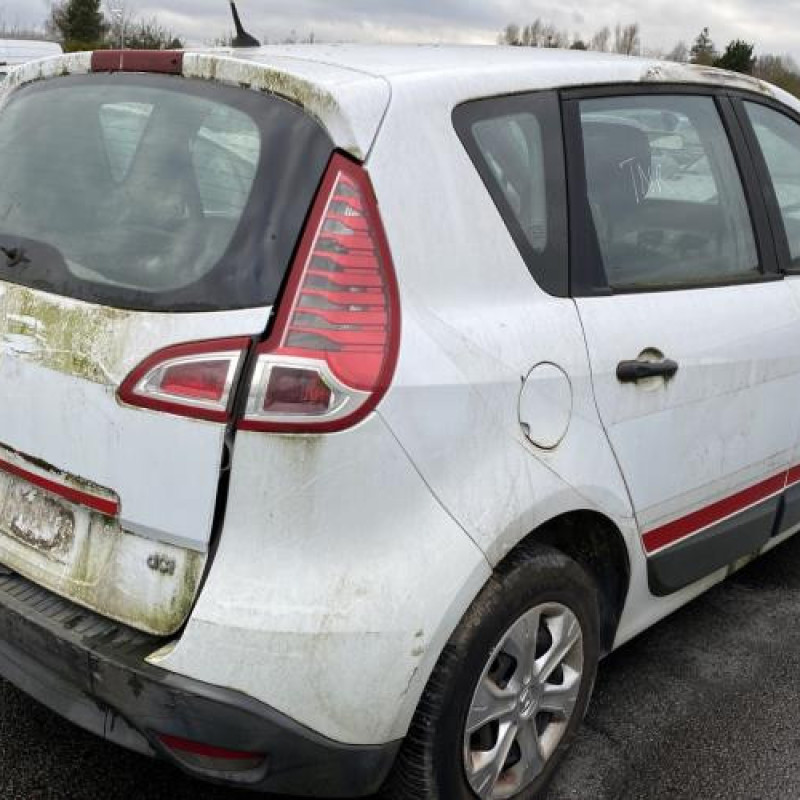 Pedale d'accelerateur RENAULT SCENIC 3 Photo n°7