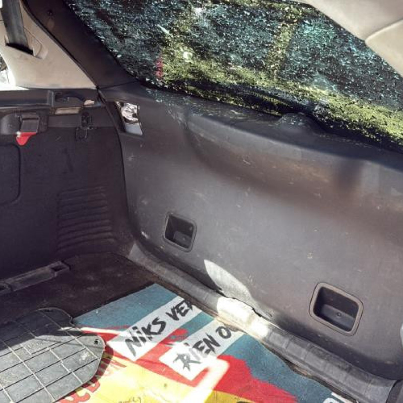 Etrier arriere gauche (freinage) CITROEN C4 PICASSO 1 Photo n°13