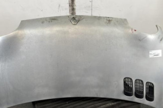 Capot RENAULT TWINGO 1 Photo n°1