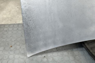 Capot RENAULT TWINGO 1