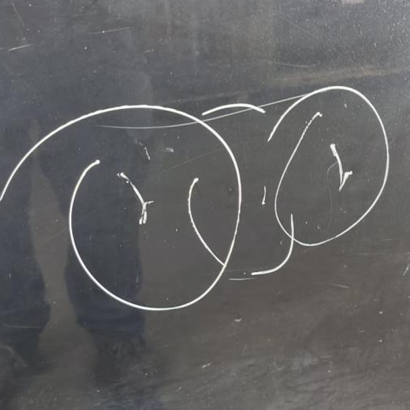 Porte laterale gauche PEUGEOT BIPPER Photo n°3