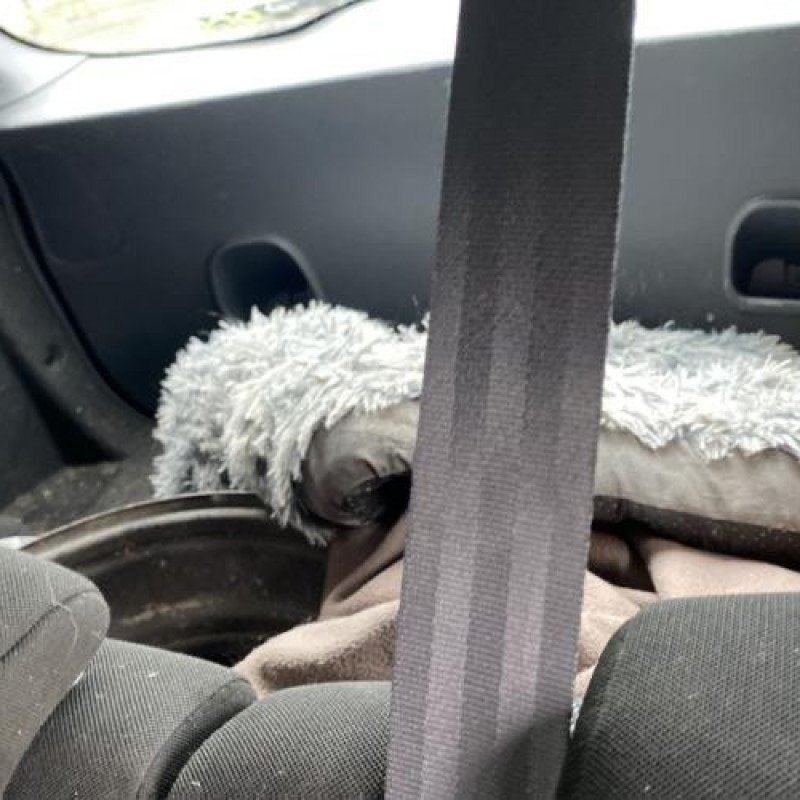 Porte arriere droit RENAULT CLIO 4 Photo n°17