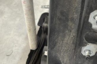 Porte arriere gauche RENAULT CLIO 4