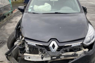 Porte arriere gauche RENAULT CLIO 4