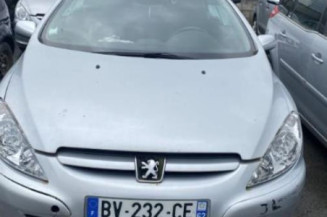 Custode arriere gauche PEUGEOT 307