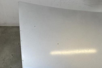 Malle/Hayon arriere DACIA LOGAN 1