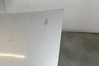 Malle/Hayon arriere DACIA LOGAN 1