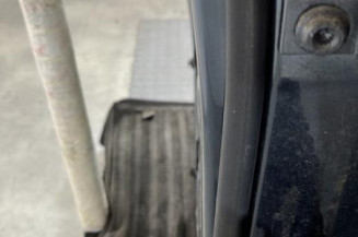 Porte arriere gauche VOLKSWAGEN POLO 4