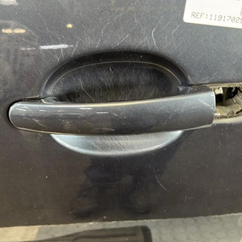 Porte avant gauche VOLKSWAGEN POLO 4 Photo n°2