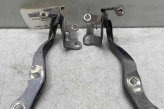 Charniere de capot CITROEN C1 1 Photo n°1