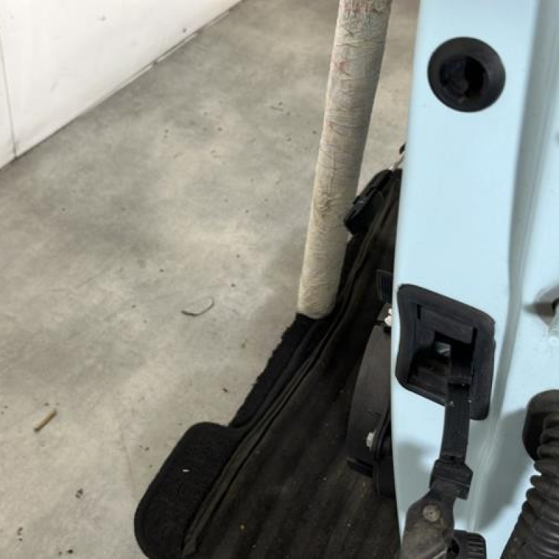 Porte avant gauche RENAULT TWINGO 3 Photo n°4