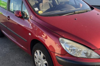 Afficheur PEUGEOT 307