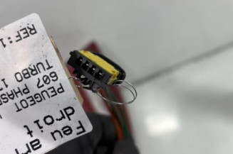 Feu arriere principal droit (feux) PEUGEOT 607