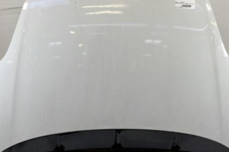 Capot FIAT GRANDE PUNTO Photo n°1