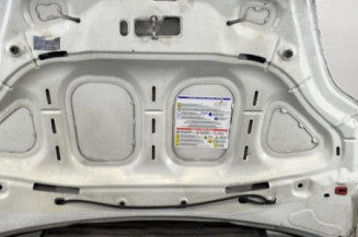 Capot FIAT GRANDE PUNTO