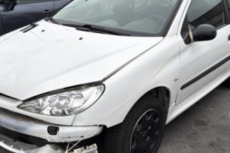 Pedale d'accelerateur PEUGEOT 206 Photo n°1